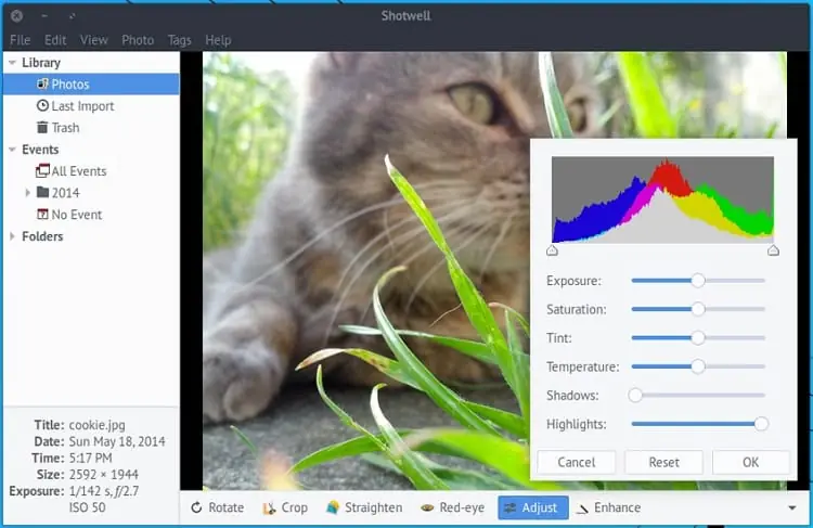 Shotwell: O Gerenciador de Fotos e Organizador para Linux Essencial para Sua Biblioteca Multimídia