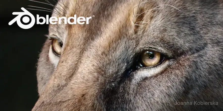 Blender Download Oficial: Guia Completo para Baixar e Usar o Blender com Segurança